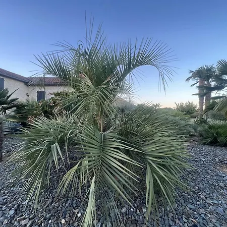 B&B Le Relais Des Chevaliers 